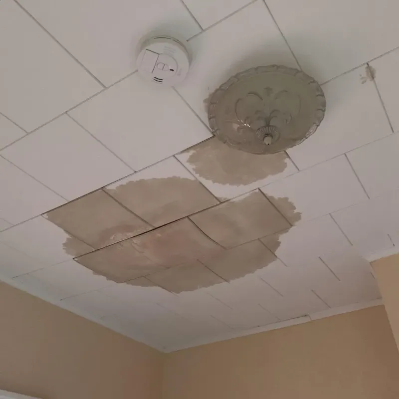 Ceiling Water Damage Repair in Brooklyn, OH