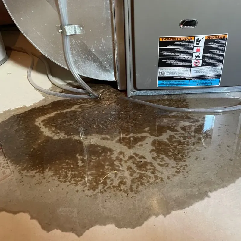 Pipe Burst and Leak Restoration in Brooklyn, OH