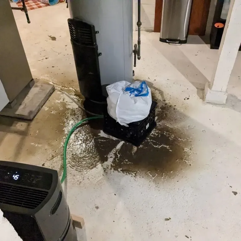 Sewage Backup Cleanup Service in Brooklyn, OH